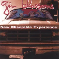 New Miserable Experience by Gin Blossoms